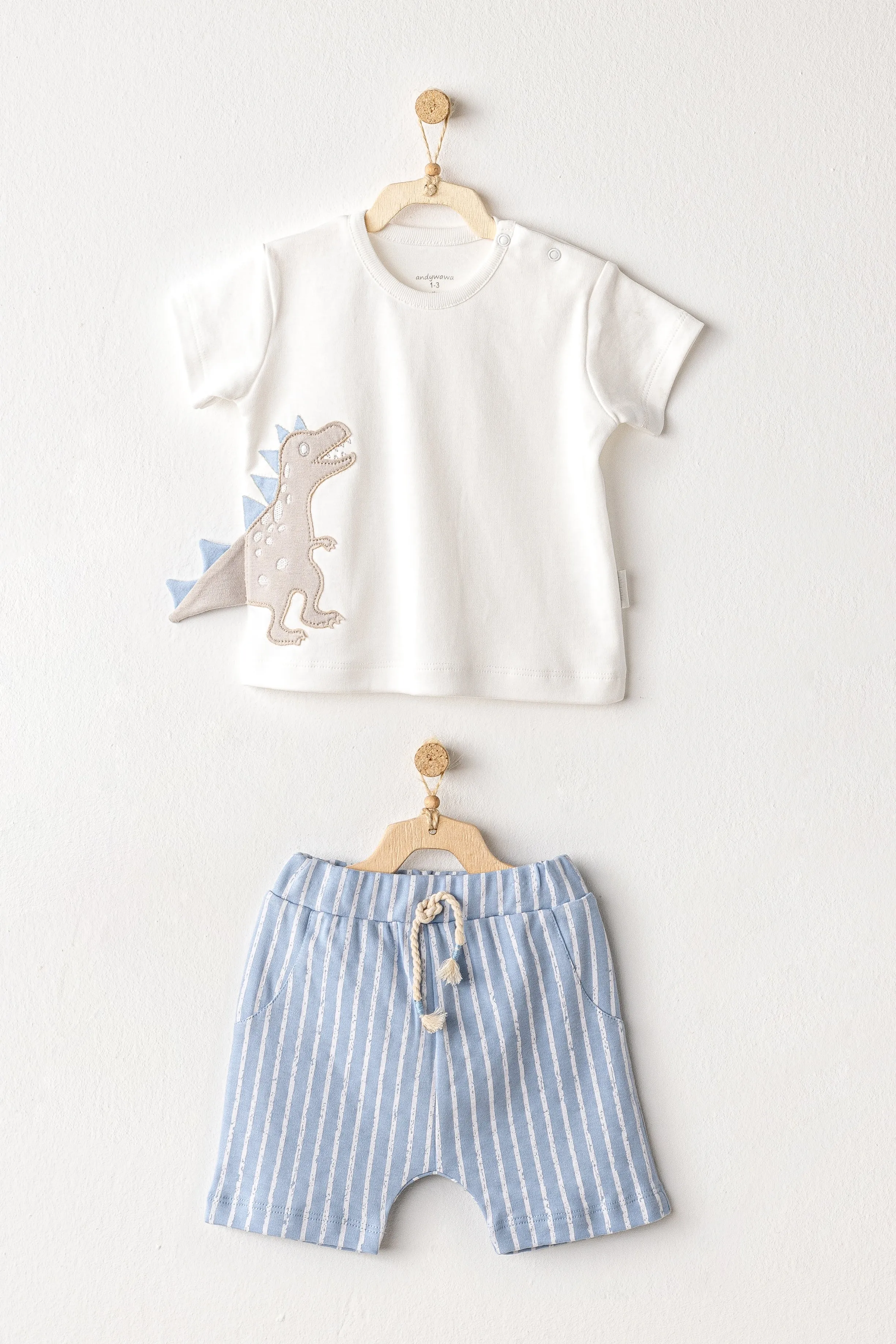 Blue Shorts Dinosaur Shirt Outfit Set