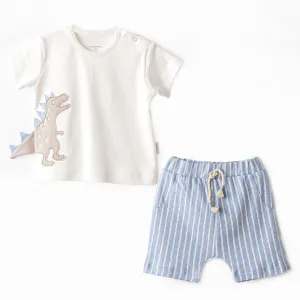 Blue Shorts Dinosaur Shirt Outfit Set