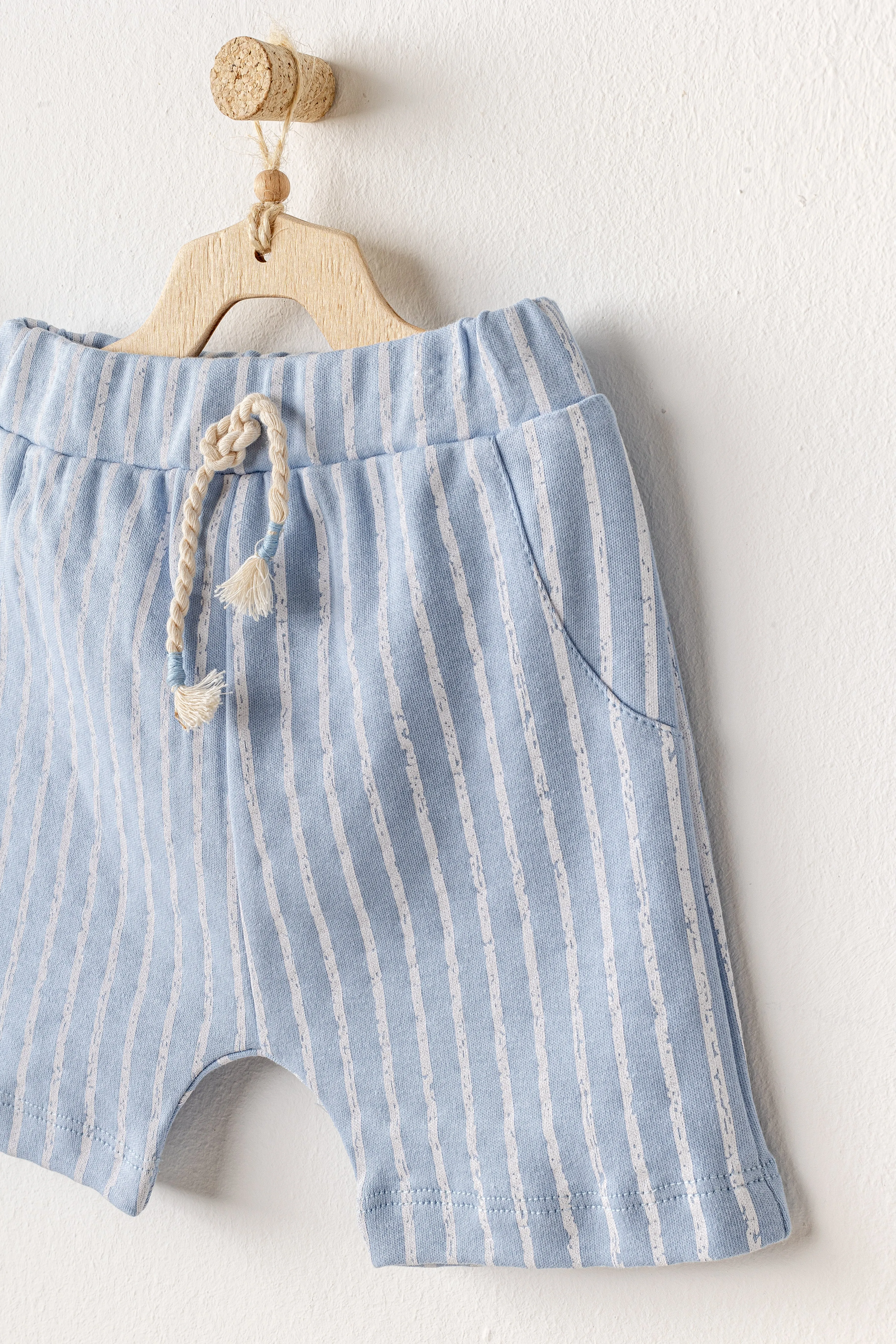 Blue Shorts Dinosaur Shirt Outfit Set