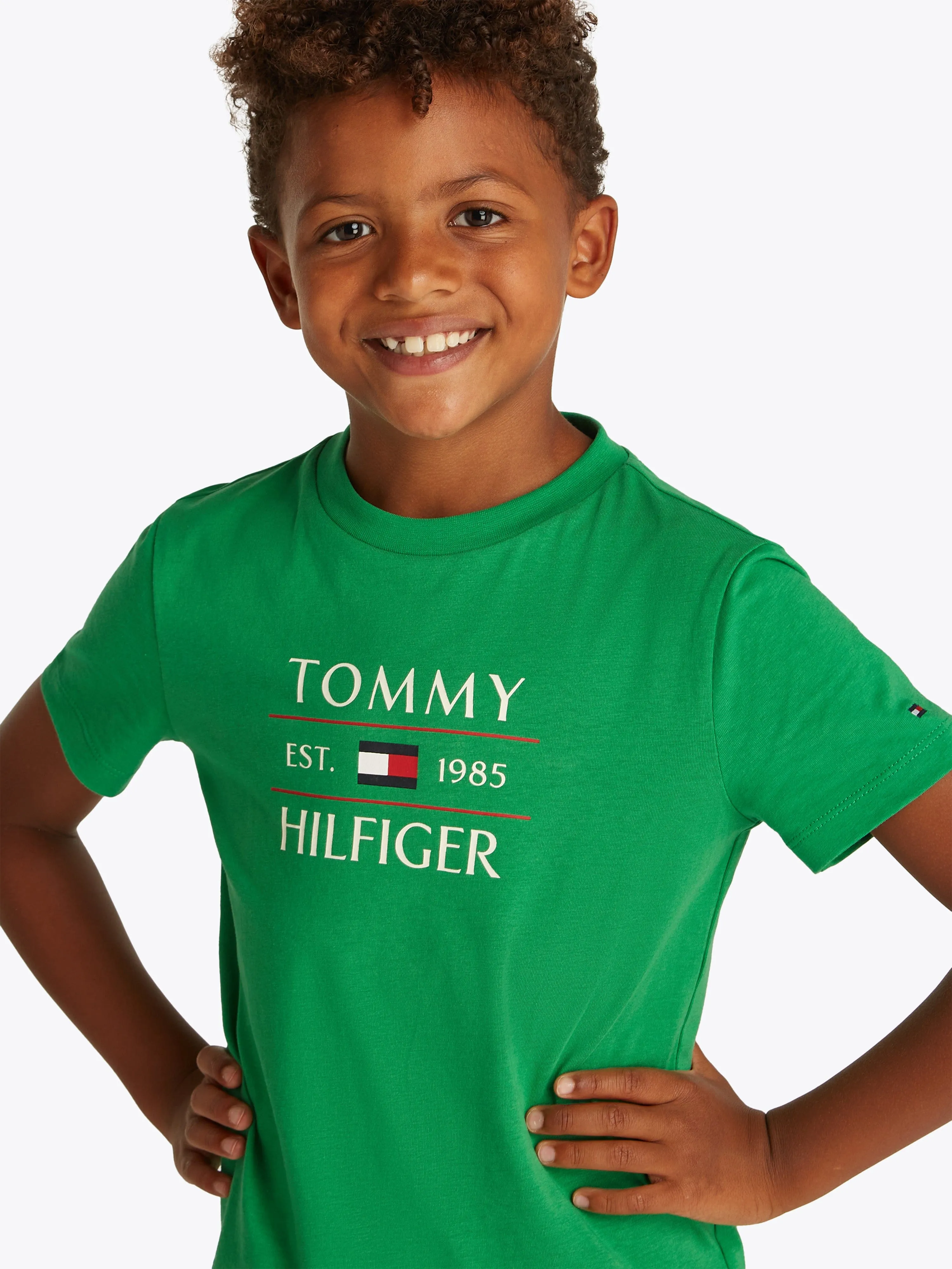 Tommy Hilfiger Boys Tommy Flag T-Shirt in Green