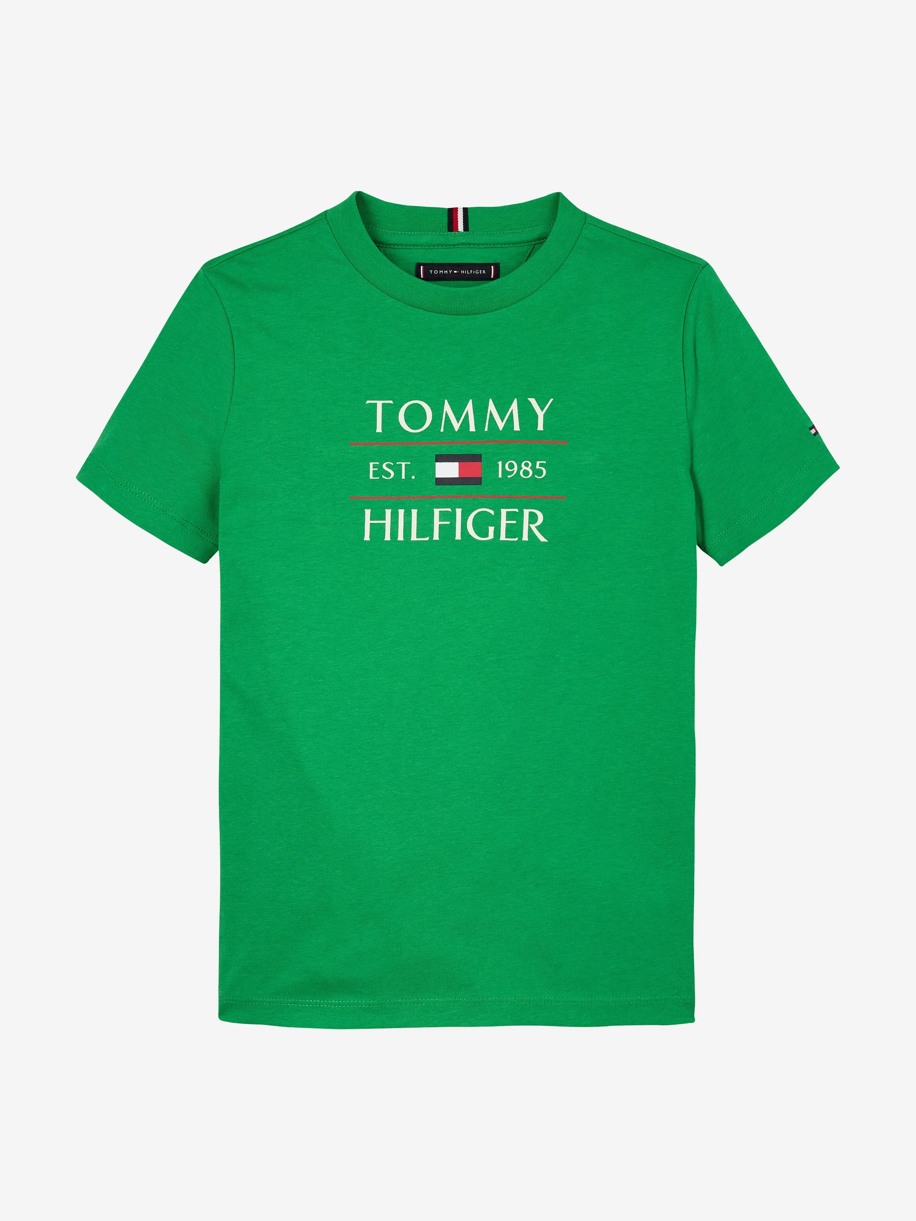Tommy Hilfiger Boys Tommy Flag T-Shirt in Green